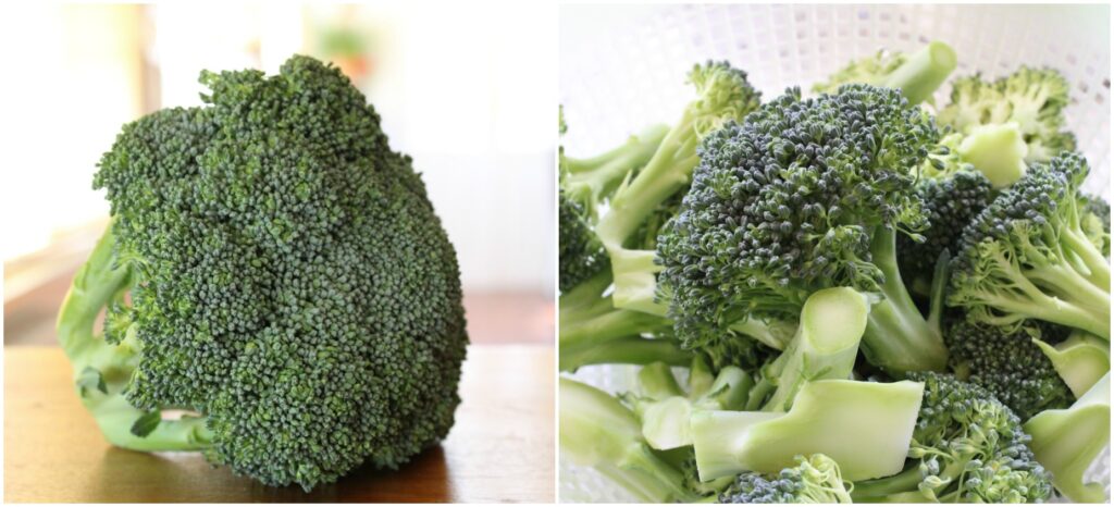 Broccoli vellutata