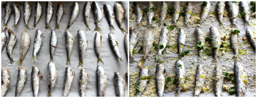 Come cucinare le sarde